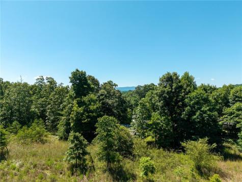 46 Green Kirby Lane Blue Ridge GA 30513