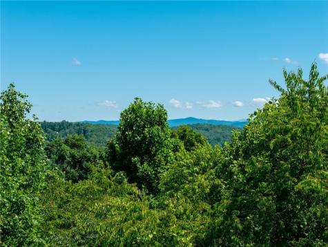 46 Green Kirby Lane Blue Ridge GA 30513