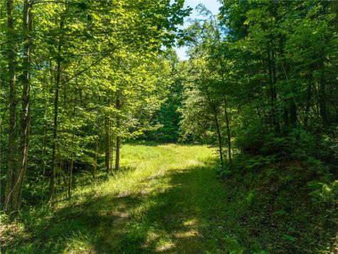 46 Green Kirby Lane Blue Ridge GA 30513