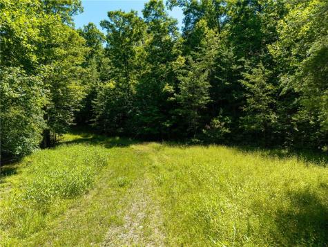 46 Green Kirby Lane Blue Ridge GA 30513