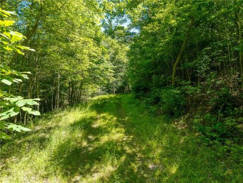 46 Green Kirby Lane Blue Ridge GA 30513