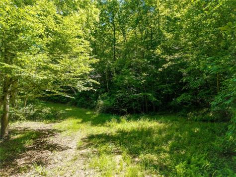 46 Green Kirby Lane Blue Ridge GA 30513