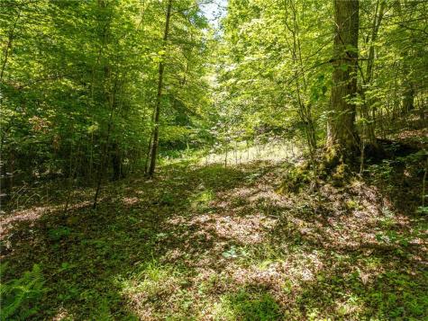 46 Green Kirby Lane Blue Ridge GA 30513