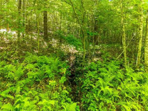 46 Green Kirby Lane Blue Ridge GA 30513