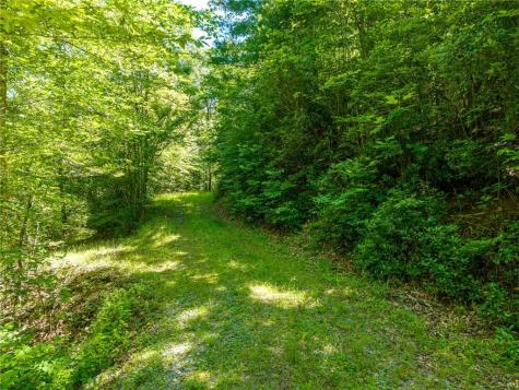 46 Green Kirby Lane Blue Ridge GA 30513