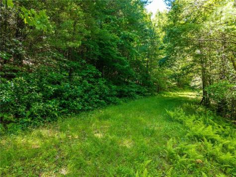 46 Green Kirby Lane Blue Ridge GA 30513
