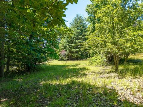 46 Green Kirby Lane Blue Ridge GA 30513