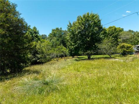 46 Green Kirby Lane Blue Ridge GA 30513