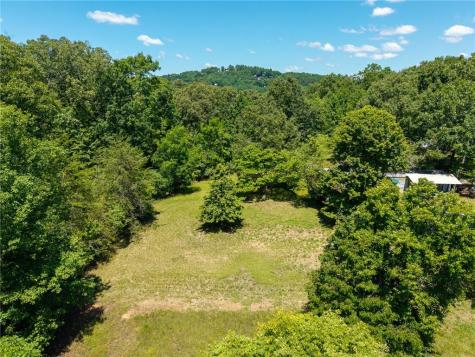46 Green Kirby Lane Blue Ridge GA 30513