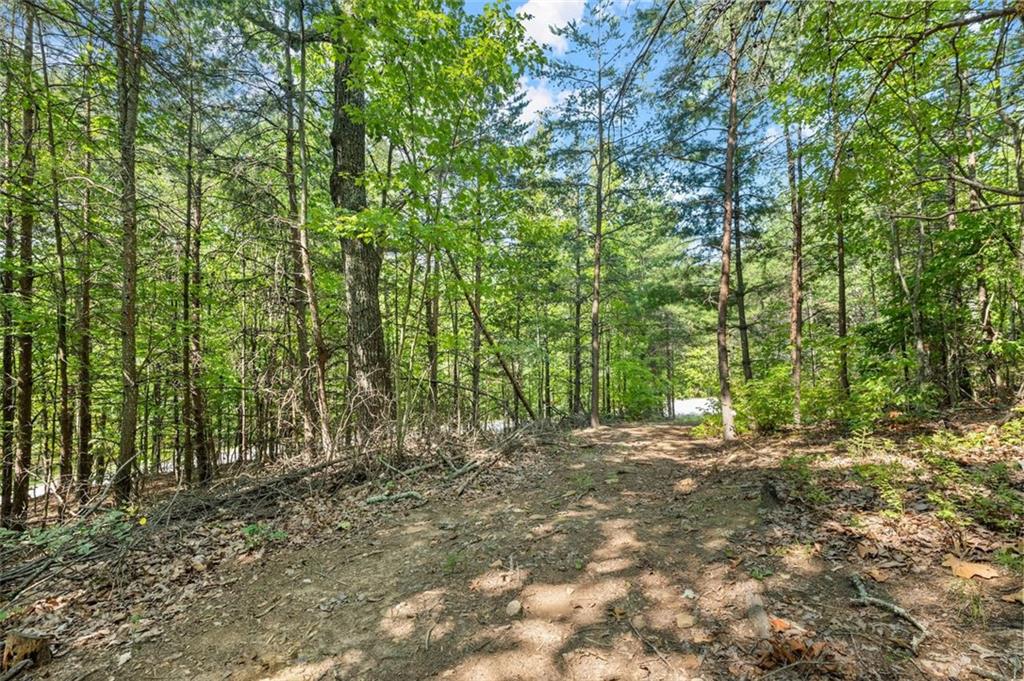 0 Highlands Lake Trail Lot 30 Clarkesville GA 30523