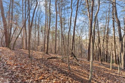 0 Golden Lot 5 Avenue Dahlonega GA 30533