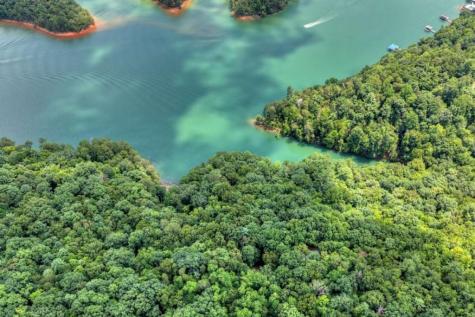 Lt 60 Necowa Cove Overlook Blue Ridge GA 30513