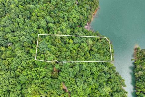 Lt 60 Necowa Cove Overlook Blue Ridge GA 30513