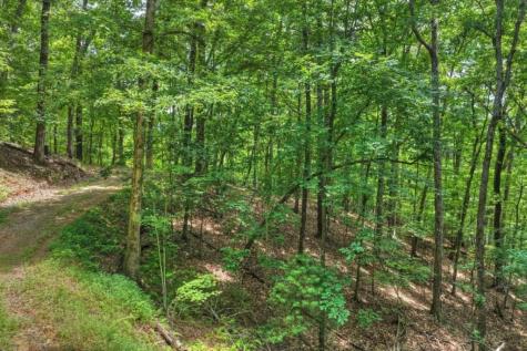 Lt 60 Necowa Cove Overlook Blue Ridge GA 30513