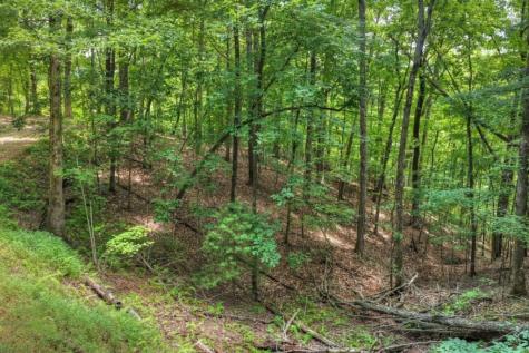 Lt 60 Necowa Cove Overlook Blue Ridge GA 30513