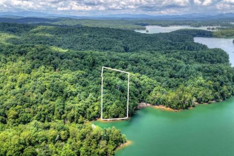 Lt 60 Necowa Cove Overlook Blue Ridge GA 30513