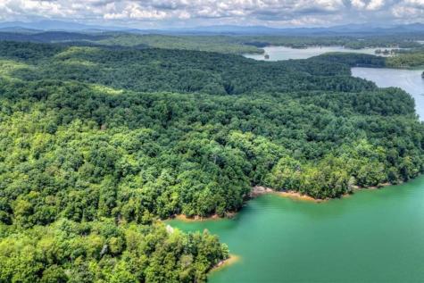 Lt 60 Necowa Cove Overlook Blue Ridge GA 30513