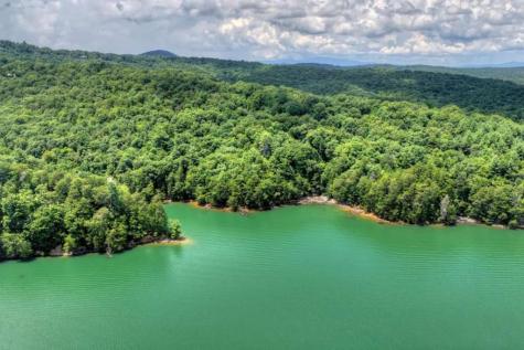 Lt 60 Necowa Cove Overlook Blue Ridge GA 30513