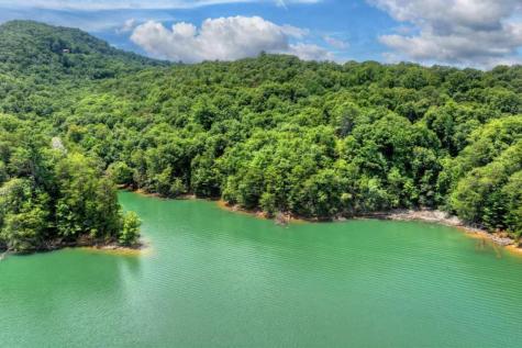 Lt 60 Necowa Cove Overlook Blue Ridge GA 30513