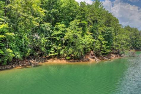 Lt 60 Necowa Cove Overlook Blue Ridge GA 30513