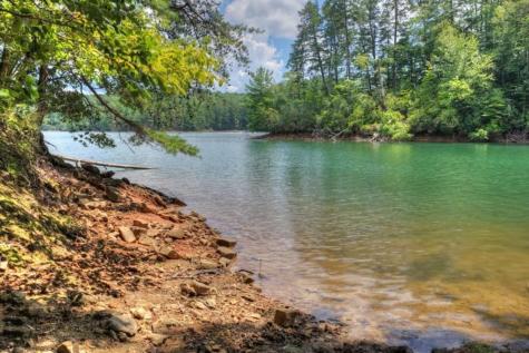 Lt 60 Necowa Cove Overlook Blue Ridge GA 30513