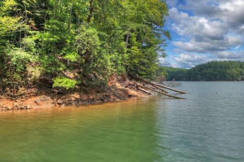 Lt 60 Necowa Cove Overlook Blue Ridge GA 30513