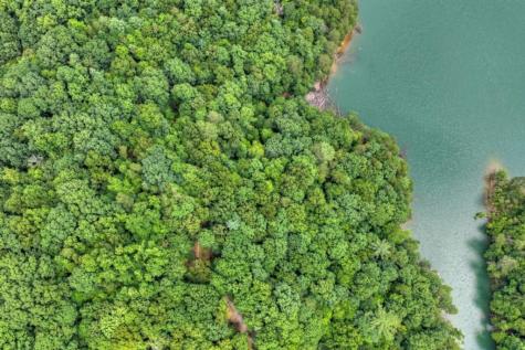 Lt 60 Necowa Cove Overlook Blue Ridge GA 30513