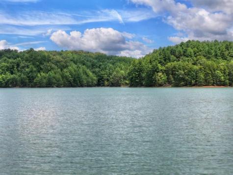Lt 60 Necowa Cove Overlook Blue Ridge GA 30513
