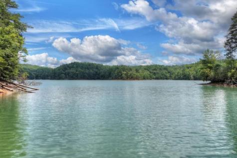 Lt 60 Necowa Cove Overlook Blue Ridge GA 30513