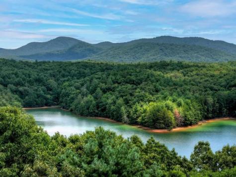 Lt 60 Necowa Cove Overlook Blue Ridge GA 30513