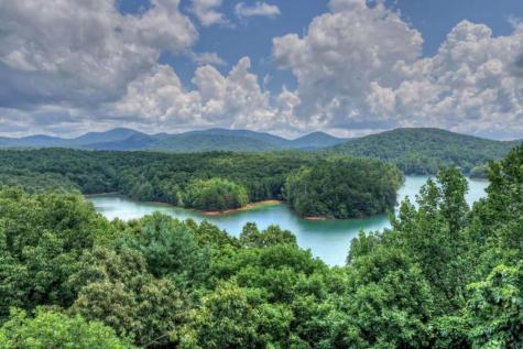Lt 60 Necowa Cove Overlook Blue Ridge GA 30513