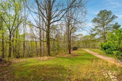 3467 Carver Mill Road Talking Rock GA 30175