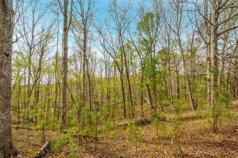 3467 Carver Mill Road Talking Rock GA 30175