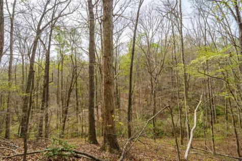 3467 Carver Mill Road Talking Rock GA 30175