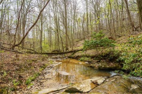 3467 Carver Mill Road Talking Rock GA 30175