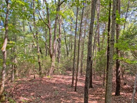 10.59 Ac, T S Jarrard Road Dahlonega GA 30533