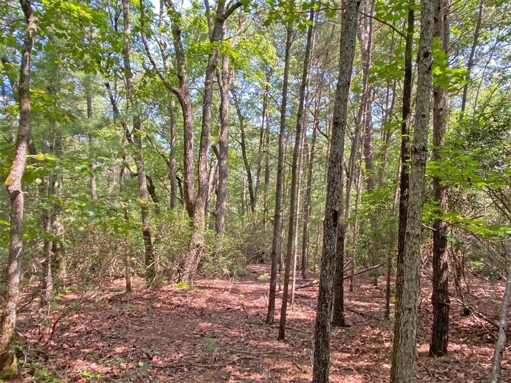 10.59 Ac, T S Jarrard Road Dahlonega GA 30533