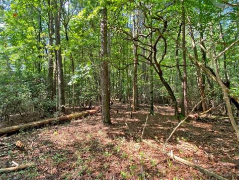 10.59 Ac, T S Jarrard Road Dahlonega GA 30533