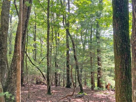 10.59 Ac, T S Jarrard Road Dahlonega GA 30533