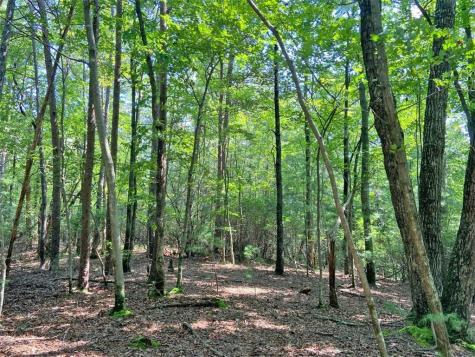 10.59 Ac, T S Jarrard Road Dahlonega GA 30533