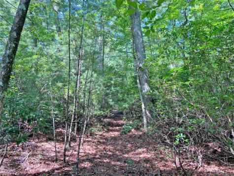10.59 Ac, T S Jarrard Road Dahlonega GA 30533