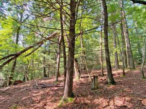 10.59 Ac, T S Jarrard Road Dahlonega GA 30533
