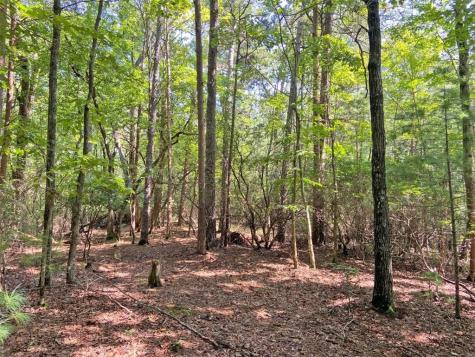 10.59 Ac, T S Jarrard Road Dahlonega GA 30533