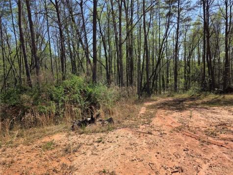 0 Thurmond Road 8.64 Acres Road Cleveland GA 30528