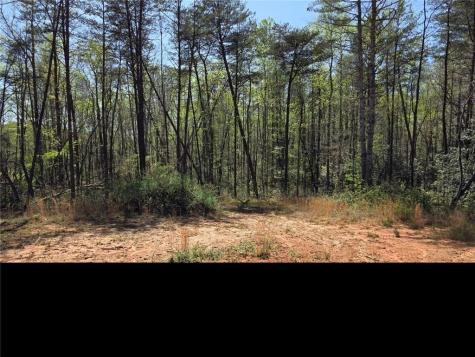 0 Thurmond Road 8.64 Acres Road Cleveland GA 30528