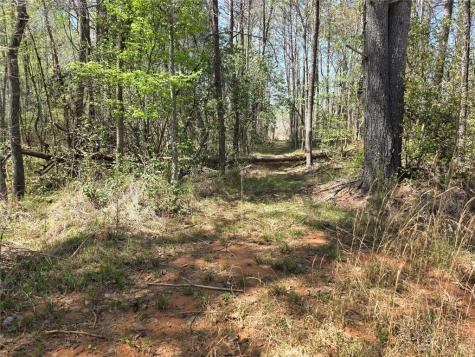 0 Thurmond Road 8.64 Acres Road Cleveland GA 30528