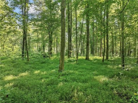 525 Etula Drive Dahlonega GA 30533