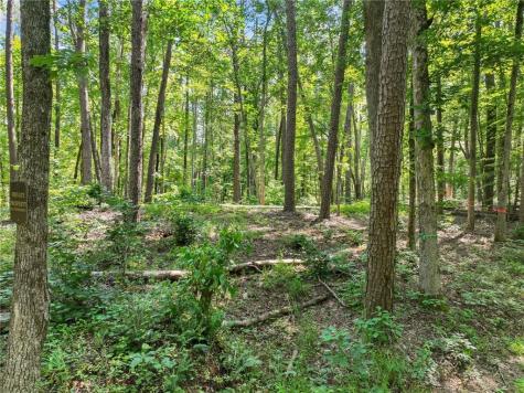 525 Etula Drive Dahlonega GA 30533