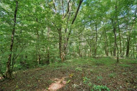 525 Etula Drive Dahlonega GA 30533