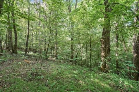 525 Etula Drive Dahlonega GA 30533